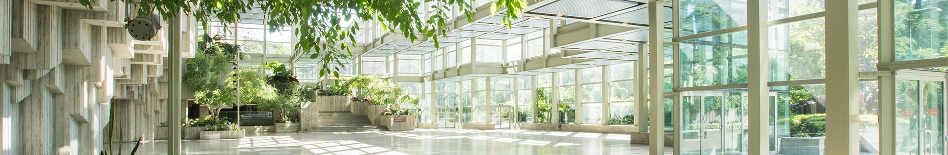 A narrow image of a light-filled glass atrium at SCC.